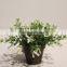 Plastic Artificial Potted Grass Bonsai Plants for Festive Decor