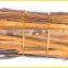 Cassia split Vietnam exporting high quanlity
