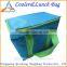 Lightweight lunch cooler warmer bag,Picnic bag