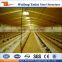 design layer chicken house for kenya poultry farm