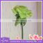 colorful mixed ranunculus rose real touch flower head