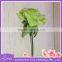 colorful mixed ranunculus rose real touch flower head