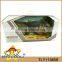 Animal Jurassic dinosaur jurassic park model toy