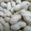 wholesale peanuts in shell