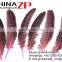 High quality plumage bulk Polka Dot Dyed pink Guinea Fowl Wing quills Feathers