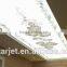 Large Format Printer, A-Starjet Printer, Stretch/Soft/PVC Ceiling Film Printer, 3.2M, DX7 Print Head