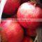 Fresh pomegranate for sales