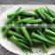 Frozen Vegetables Celery