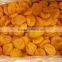 2015 HOT SALES XINJIANG DRIED APRICOT
