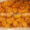 Dried golden apricot from China