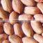 GROUNDNUT KERNEL JAVA 60/70