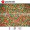 high quality frozen mixed vegetable best price