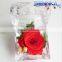 Wholesale Luxuious Preserved Dried Real Flower Rose Box long-lasting Birthday Valentine Gift
