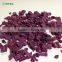 AD Drying Process Dehydrated Purple Sweet Potato Cube
