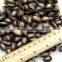 WHOLESALE BLACK WATERMELON SEEDS MEDIUM SIZE