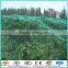 wholesale nylon insect mesh dark green 100g/m2 pe