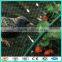 factory supply green plastic anti bird wire mesh netting