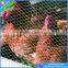 Hexagonal Wire Netting Used Catching Crab Cage