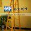 China Manufacturer FRP household ladder with high quality