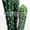 mini-artificial bonsai hotsale cactus bonsai plants Ornamental Green Plants