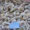 Shrimps Vannamei
