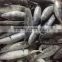 300-500g Seafrozen Bonito fish Auxis Thazard