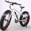 New design electric e bike 36V 10 AH battery 26 inch fat electric bike