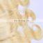 Wholesale Unprocessed European Hair Blonde Lace Frontal