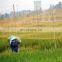 2017 HDPE Black Bird Netting For Fruit Orchard