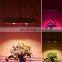 2020 Factory Hot sale Led 1000 Watt Grow Light UV Bar With COB