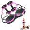 2020 top selling Revoflex Xtreme AB Wheel &Mind Body Fitness Resistance Bands Set & AB Wheel Set