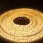 Waterproof Outdoor Swimming Pool Light Warm White LED Strip Light