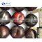 Sinocharm Frozen fruits  Certified IQF Plum Fruit Natural Halves Frozen Plum