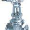 Stainless Steel  Electric Gate Valve