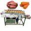 Hot Sale Professional Fresh Fruits Apple Lemon Brush Washing Machine Root Vegetables Ginger Brush Roller Washer Line