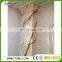 lowest price rosso levanto marble