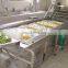 Automatic fruit washing machine for apple cherry eggplant