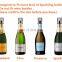 Champagne Sealer Stopper, BGMAX 3 Pack Stainless Steel Sparkling Wine Bottle Plug Sealer Set with a Longer Sealing Plug