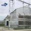 prefabricated quick install warehouse/ workshop /plant /hangar steel structure building