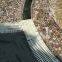 Swimmer Pool Grate Premium Wide Grille Abs Grating For Swimming Pool