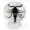 6.0 cm real resin acrylic marble ball with bugs scorpion