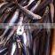 Whole Round Frozen sardine fish and Sardinella longiceps