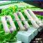 110v to 277v full spectrum induction lamps solar powered grow lights