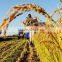 super absorbent polymer powder for agriculture planting