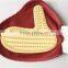 perfect choice for Cat & Dog Grooming mitt