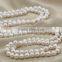 Fashion White Freshwater Pearl Necklace