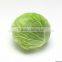 Fresh Cabbage