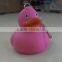 mini duck