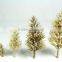 Family Model Tree Arm in HO Scale