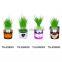 DIY Grass Head Dolls Plants for Birthday Gift
